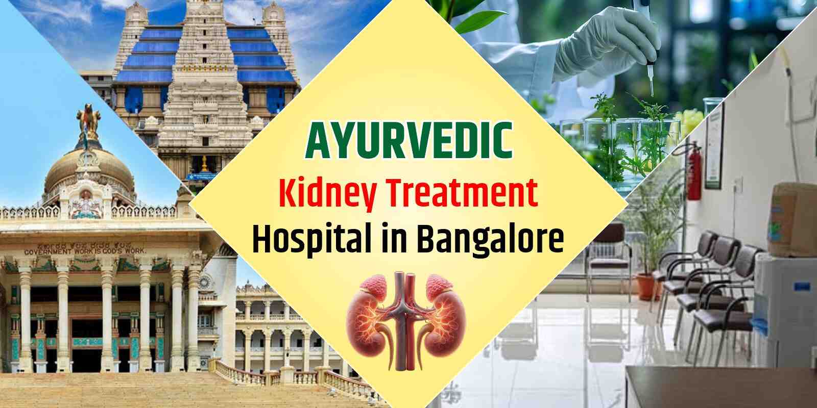 Ayurvedic Kidney Treatment Hospital in Bangalore